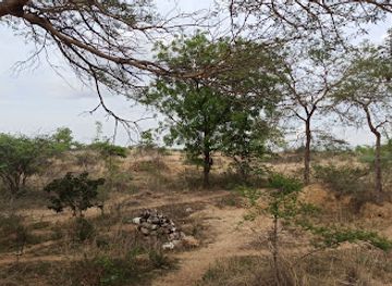 myanmar-burma/bagan/nyaung-u/landmark/anyathiyan-culture-paleolithicsite