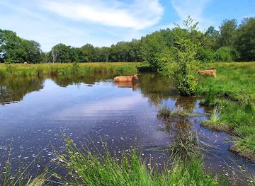 netherlands/overijssel/landmark/witte-veen