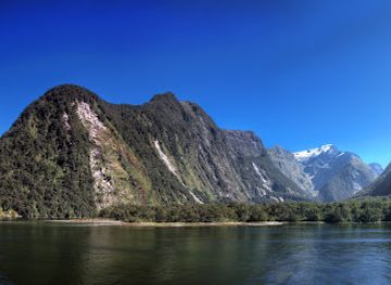 new-zealand/milford-sound/landmark/milford-sound-underwater-observatory-southern-discoveries