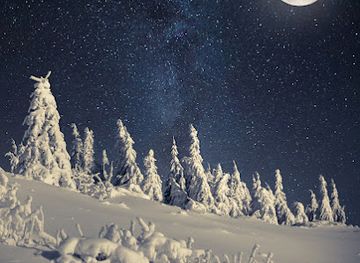 norway/trysil/landmark/wolverine-adventure