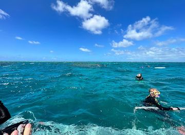australia/cairns/landmark/dreamtime-dive-snorkel