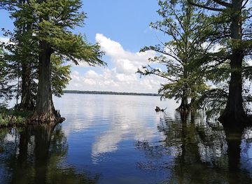 tennessee/reelfoot-lake-area/landmark/reelfoot-lake-state-park