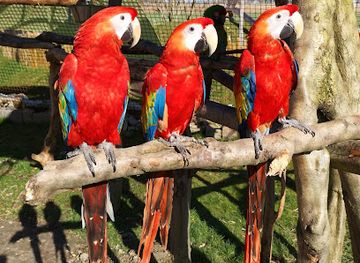 denmark/zealand/landmark/pangea-park