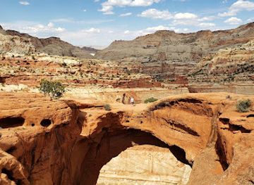 utah/capitol-reef-national-park/landmark/cassidy-arch