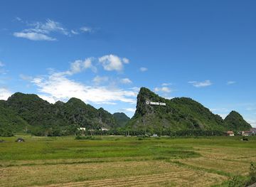 vietnam/northeast/landmark/the-duck-stop