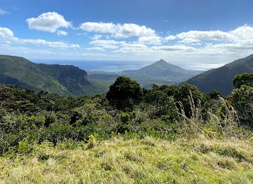mauritius/plaines-wilhems/landmark/macchabee-forest-hike