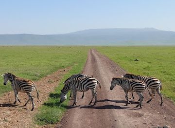 tanzania/ngorongoro-conservation-area/landmark/ngorongoro-crater-viewpoint