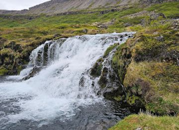 iceland/dynjandi-waterfall/landmark/hrisvaosfoss