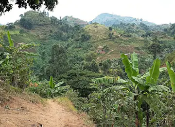 Kororo falls
