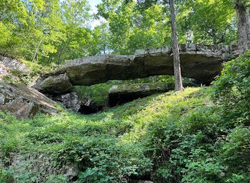 arkansas/ozark-mountains/landmark/natural-bridge