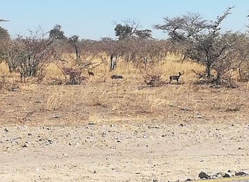 namibia/namib-naukluft-national-park/landmark/mudumu-national-park