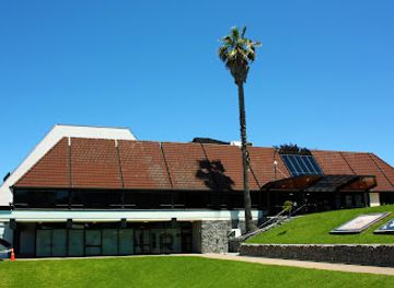 new-zealand/tauranga/landmark/baycourt-community-art-centre