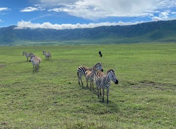 tanzania/ngorongoro-highlands/landmark/ngorongoro-conservation-area