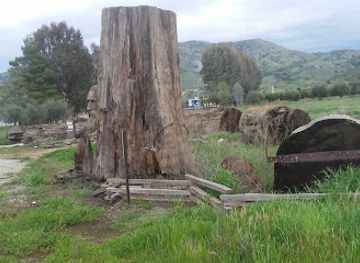 california/sierra-nevada/landmark/three-rivers-historical-museum