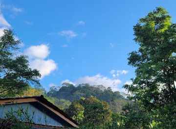costa-rica/corcovado-national-park/landmark/corcovado-national-park-el-tigre-trail
