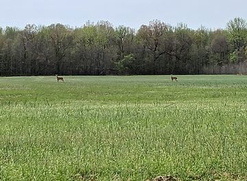 illinois/southern-illinois/landmark/kincaid-mounds-state-historic-site