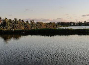 india/kerala-backwaters/landmark/kuzhupilly-beach