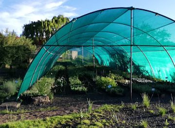 lesotho/berea/landmark/katse-dam-botanical-gardens-nursery