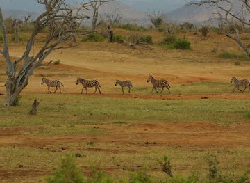 kenya/tsavo-national-park/landmark/tsavo-river