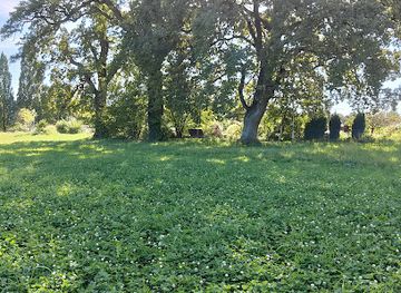 switzerland/bern/kirchenfeld-schosshalde/landmark/paul-klee-eiche