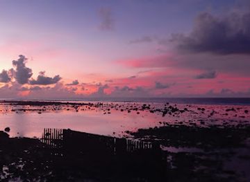 cook-islands/nikao/landmark/hula-bar