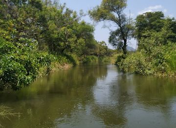sri-lanka/dambulla/landmark/gini-petti-palama
