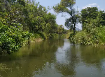 ගිනි පෙට්ටි පාලම