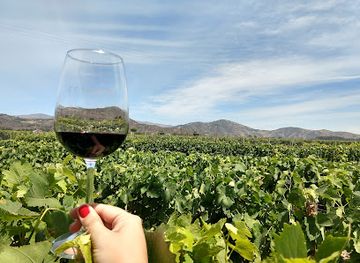 chile/colchagua-valley/landmark/vina-estampa