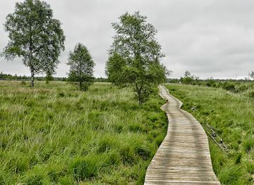 belgium/fagne-famenne/landmark/high-fens-eifel-nature-park
