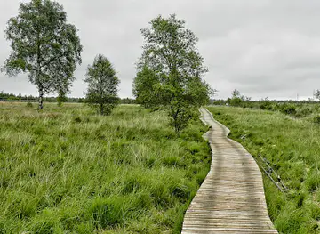 High Fens-Eifel Nature Park