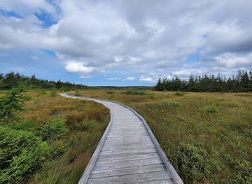 canada/cape-breton-highlands-national-park/landmark/bog-trailhead