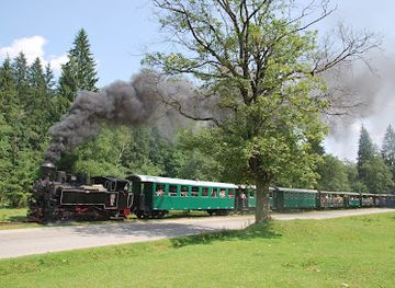 romania/moldova-area/landmark/gara-mocanita-hutulca-moldovita
