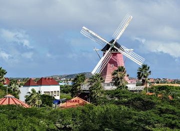 aruba/paradera/landmark/bubali-bird-sanctuary