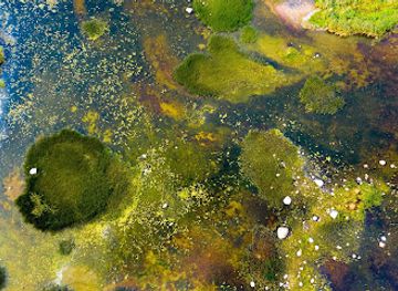 estonia/estonian-islands/landmark/vaika-islands