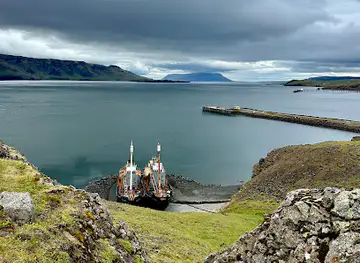 Beached Whalers Hvalfjörður