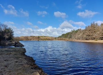 netherlands/wadden-islands/landmark/start-kabouterpad-hoornbos