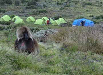 ethiopia/simien-mountains-national-park/landmark/simienecotours