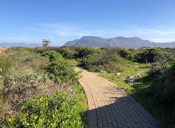 south-africa/overberg/landmark/rondevlei-nature-reserve