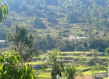 indonesia/tana-toraja/landmark/toraja-tour-guide-konstantin