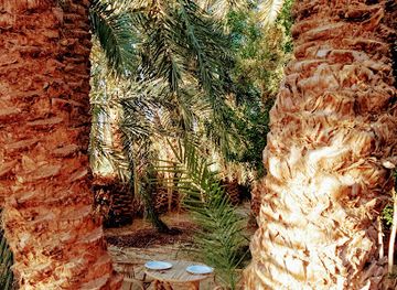 egypt/siwa-oasis/landmark/new-siwa-ecolodge