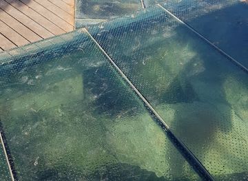 cyprus/protaras/landmark/hellenistic-tombs