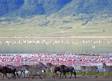 tanzania/ngorongoro-conservation-area/landmark/ngorongoro-wildlife