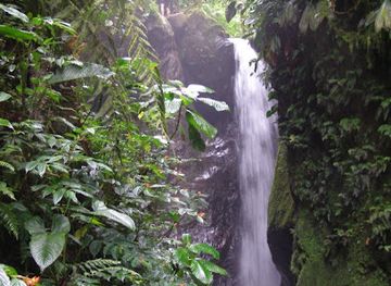 ecuador/mindo-cloud-forest/landmark/mindoxtrem-birds-operador-turistico