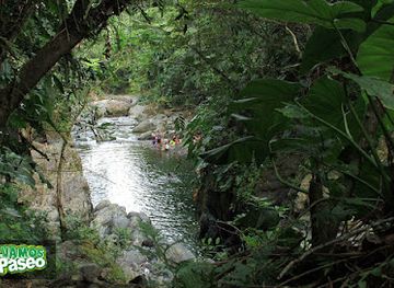 puerto-rico/el-yunque-national-forest/landmark/charco-frio