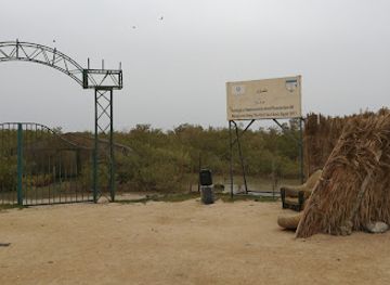 egypt/safaga/landmark/mangroven-safaga