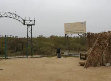 Mangroven Safaga