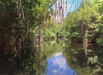 jamaica/black-river-great-morass/landmark/black-river