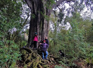 new-zealand/taupo/landmark/opepe-scenic-historic-reserve