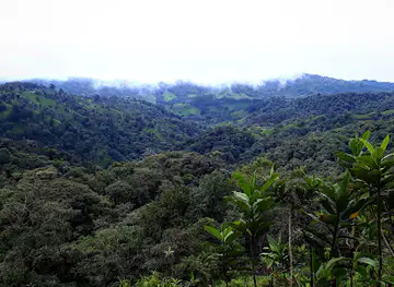 Reserva Puyucunapi - Mindo Cloudforest Foundation
