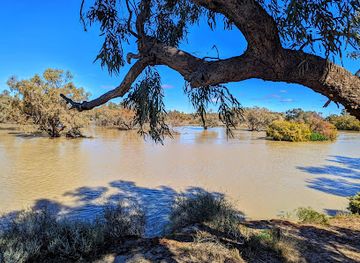 australia/far-west/landmark/burke-and-wills-dig-tree